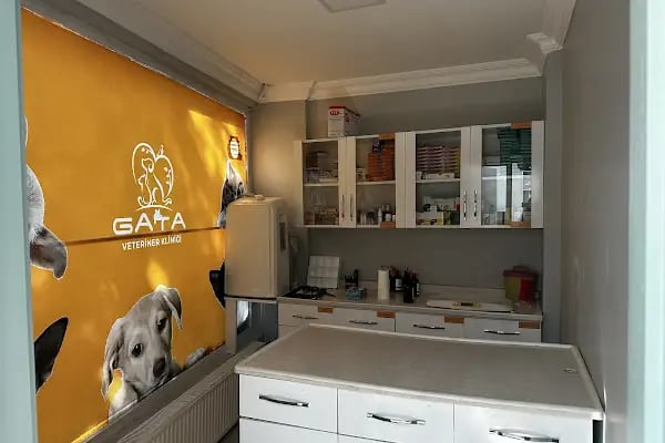 Gata Veteriner Kliniği - Resim 8