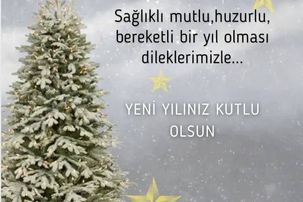 Aksoylu Özel Eğitim ve Rehabilitasyon Merkezi - Resim 10