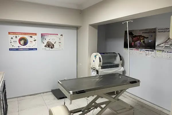 Lupa Veteriner Kliniği - Resim 12