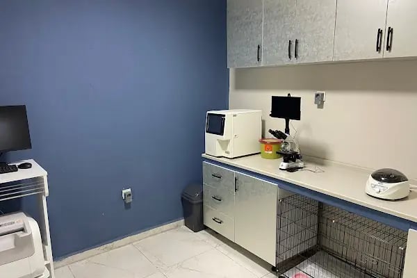 Lupa Veteriner Kliniği - Resim 3