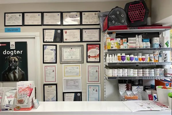Lupa Veteriner Kliniği - Resim 9