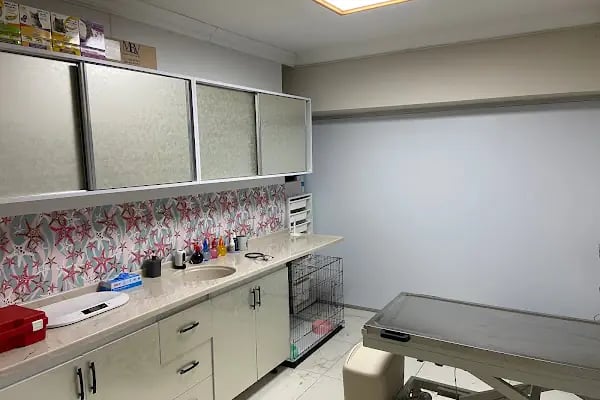 Lupa Veteriner Kliniği - Resim 10