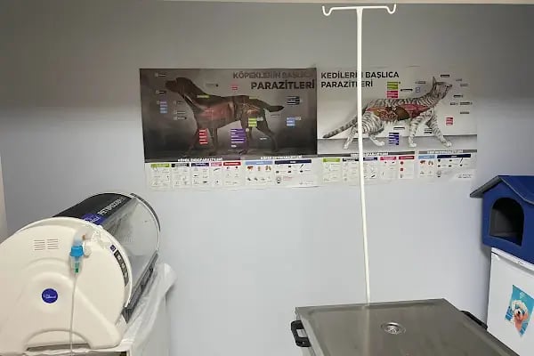 Lupa Veteriner Kliniği - Resim 14