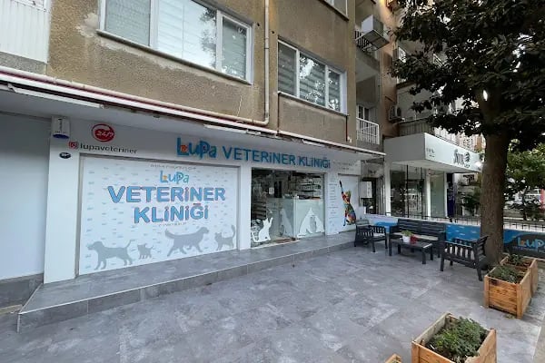Lupa Veteriner Kliniği - Resim 7