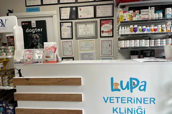 Lupa Veteriner Kliniği - Resim 5