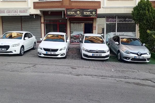EFEM RENT A CAR - Resim 3