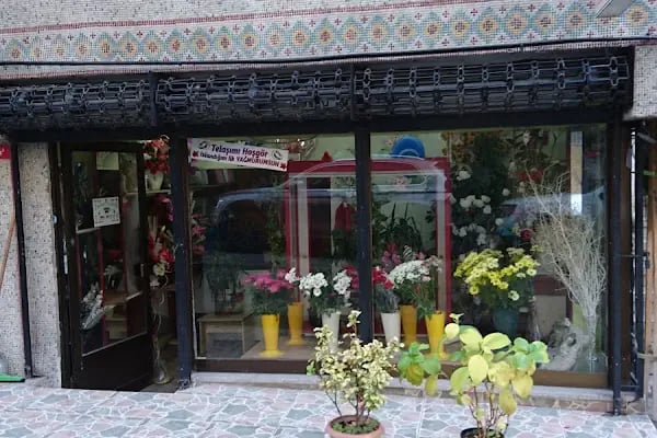 Öz Çeşme Çiçek Evi - Resim 1