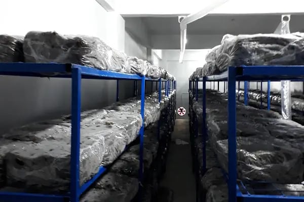 Adana Mantar Fabrikası (imamoğlu) - Resim 3