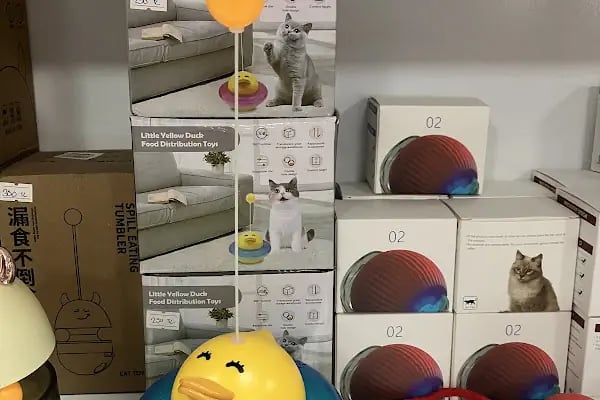 BERİL PETSHOP - Resim 20