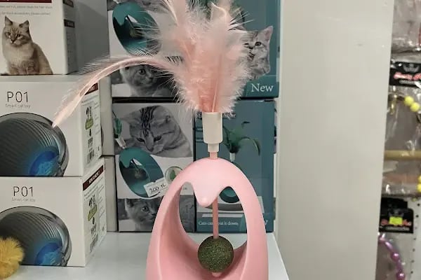 BERİL PETSHOP - Resim 15