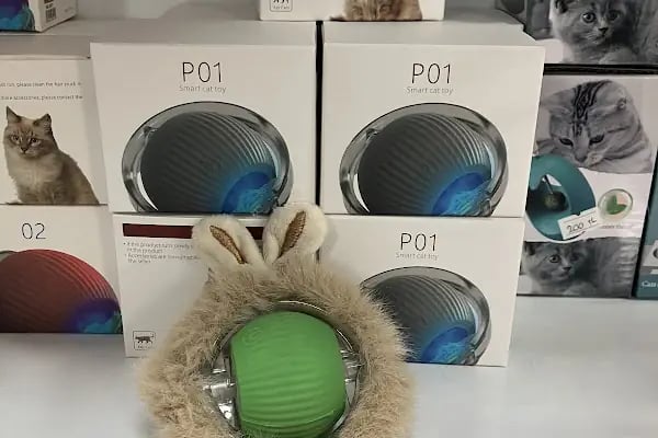 BERİL PETSHOP - Resim 4