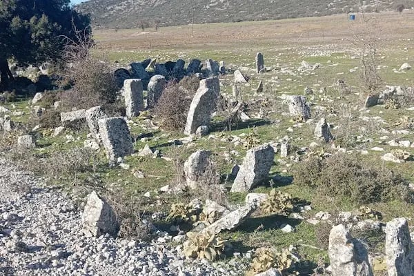 Selçuklu Mezarlığı - Resim 6