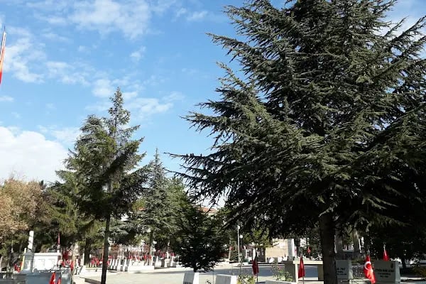 Cebeci Askeri Şehitliği - Resim 20