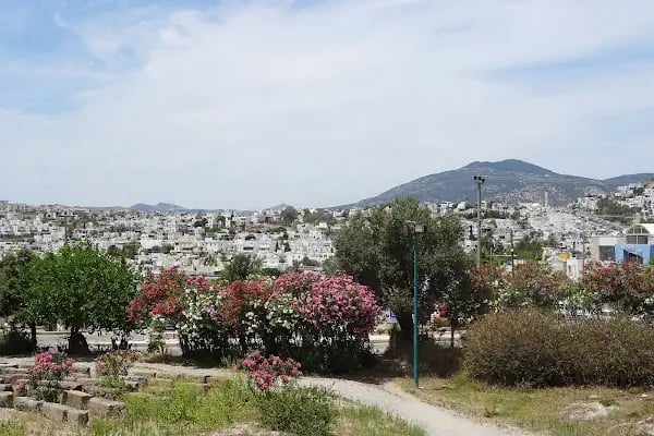 Karaburgaz Asri Mezarlık - Resim 8