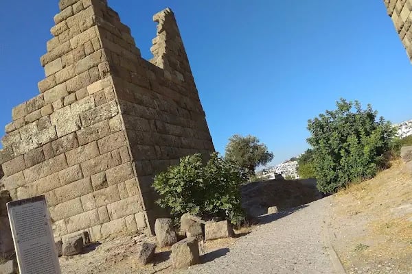 Karaburgaz Asri Mezarlık - Resim 20