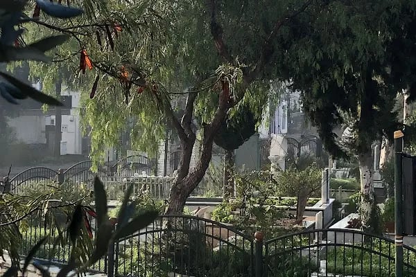 Karaburgaz Asri Mezarlık - Resim 6