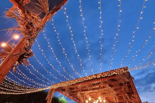 Botanik Garden Kır Düğün Salonları - Resim 4