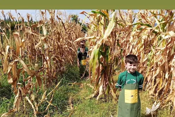 Ekol Koleji Tabiat Kampüsü - Resim 8