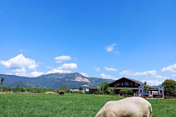 Ekol Koleji Tabiat Kampüsü - Resim 19