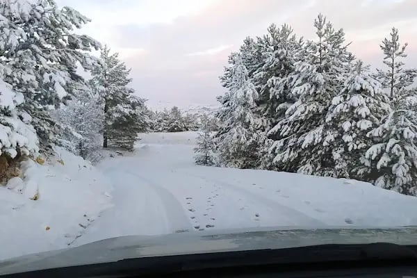 Dikbayır Dağ Evleri - Resim 18