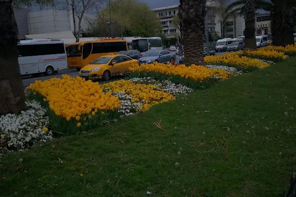 Şah-ı Huban Hatun Türbe Ve Külliyesi - Resim 9