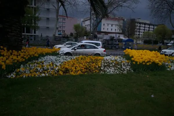Şah-ı Huban Hatun Türbe Ve Külliyesi - Resim 6
