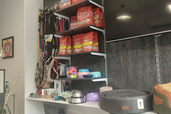 Dr.D Veteriner Kliniği - Resim 5