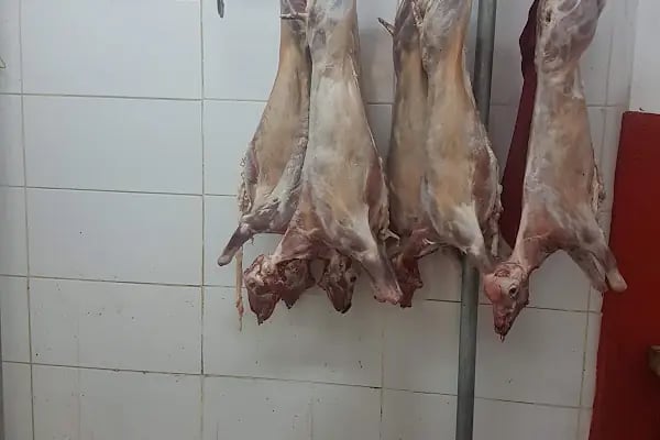 Ege Salı Pazarı-Gediz Şubesi - Resim 4