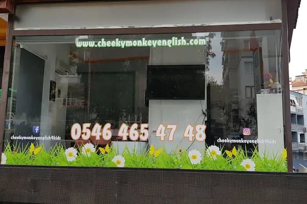 İzmir - Göztepe Cheeky Monkey English 4Kids - Resim 9
