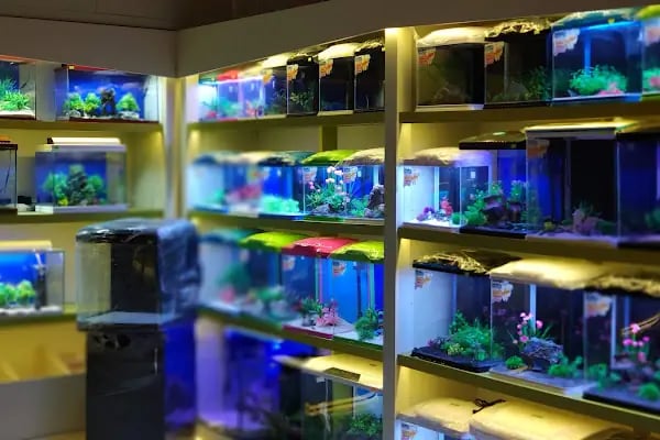 Safari Pet Shop - Resim 9