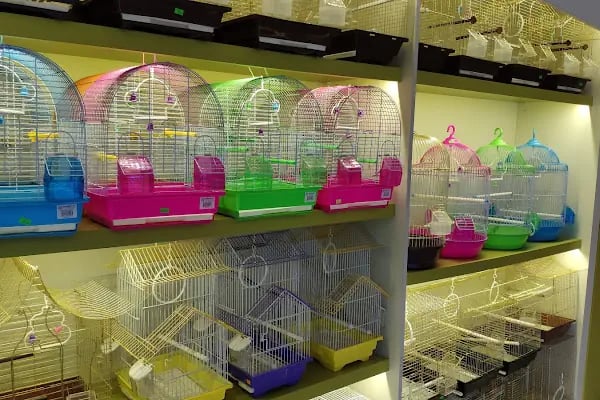 Safari Pet Shop - Resim 10