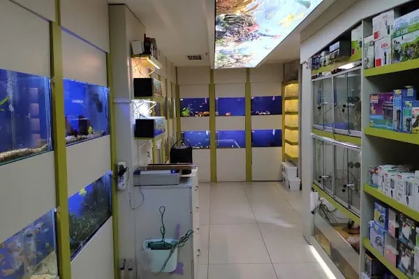 Safari Pet Shop - Resim 7