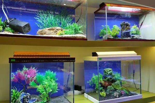 Safari Pet Shop - Resim 8