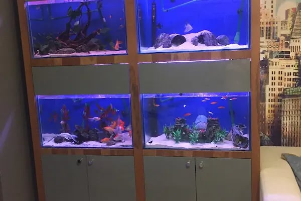 Safari Pet Shop - Resim 18