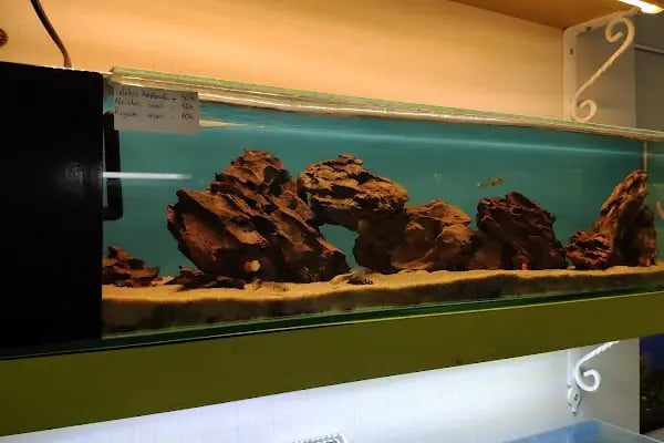 Safari Pet Shop - Resim 2