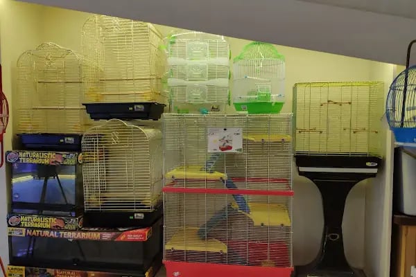 Safari Pet Shop - Resim 14