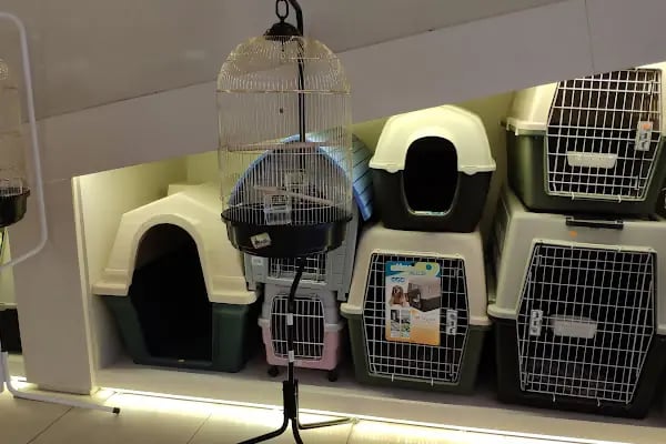 Safari Pet Shop - Resim 6