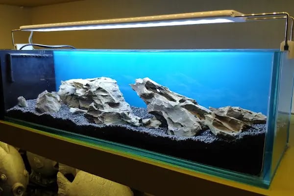 Safari Pet Shop - Resim 3