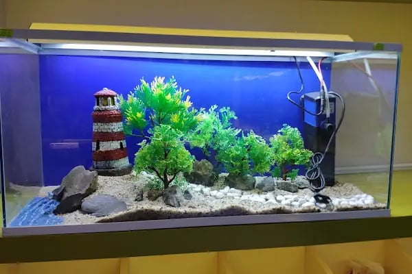 Safari Pet Shop - Resim 12