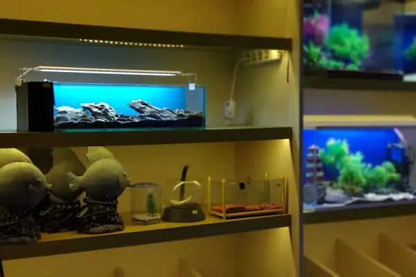 Safari Pet Shop - Resim 11