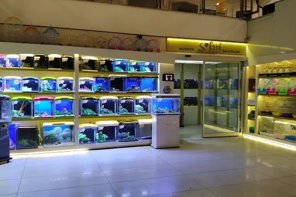 Safari Pet Shop - Resim 4