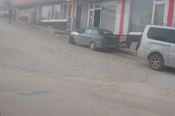 Alp Pastanesi - Resim 17