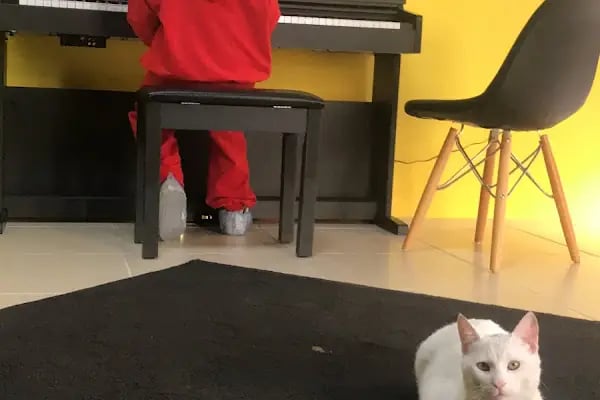 M.E.B Özel MAESTRO Sanat Kursu - Resim 7
