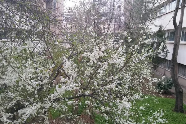 Ankara Üniversitesi Eğitim Bilimleri Fakültesi - Resim 7