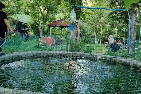 Kapalı - Resim 6