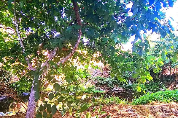 Kapalı - Resim 4
