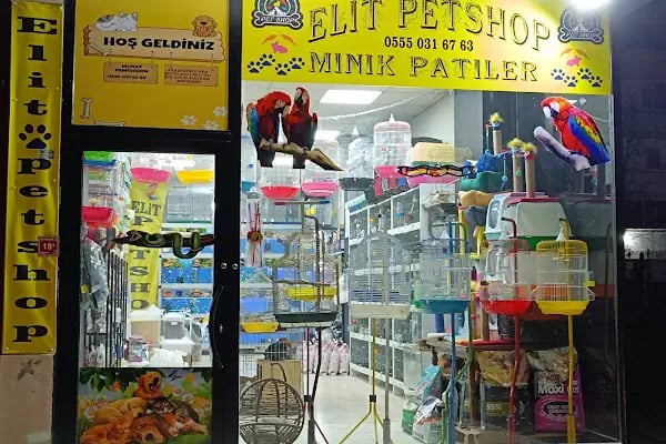 ELİT PETSHOP - Resim 2