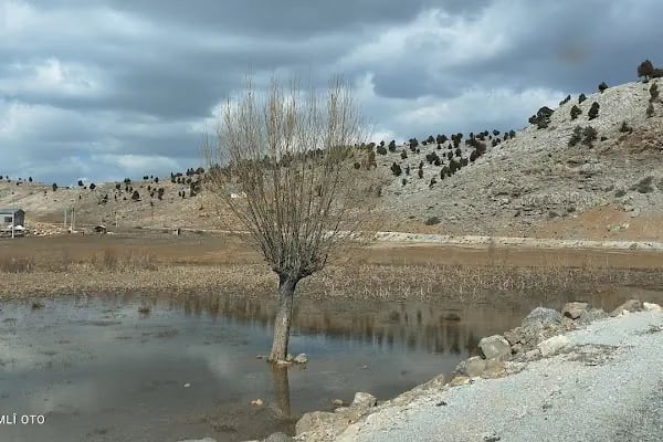 Eğrigöl Yaylası Güzelbağ - Resim 10