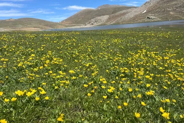 Eğrigöl Yaylası Güzelbağ - Resim 19