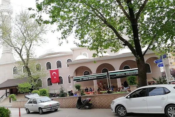Hacı Hasan Yıldız Çınar Cami - Resim 16